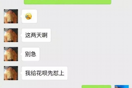锤女主播被讨债:揭秘网络直播行业的困境与应对 锤女主播被讨债:揭秘网络直播行业的困境与应对