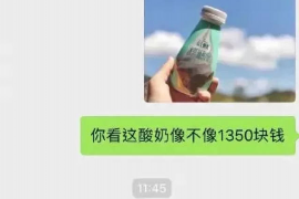 纯法律催收公司：专业解决债务难题的利器