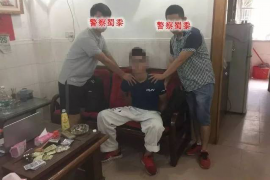 公检法司讨债公司:债务催收的新模式 公检法司讨债公司:债务催收的新模式