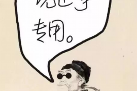 遂平清数公司：数据驱动的智慧解决方案引领者