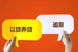 赣县催收公司联系电话：您的债务解决方案