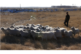 错那清债公司联系方式 错那清债公司联系方式