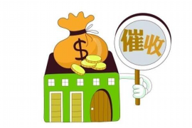 支付宝催收违规：揭秘背后的风险与应对策略