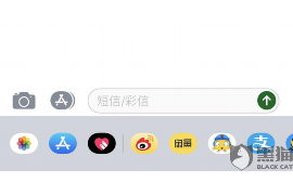 东北虎讨债网站：揭秘新型债务催收平台