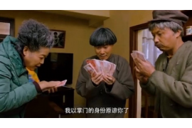 炮灰女配在线讨债:揭秘网络借贷行业的风险与应对 炮灰女配在线讨债:揭秘网络借贷行业的风险与应对