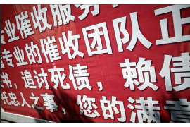 红河要钱公司排名：揭秘云南金融市场的领军力量