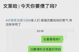 专业讨债公司是否合法:揭秘讨债行业的法律边界 专业讨债公司是否合法:揭秘讨债行业的法律边界