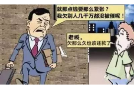 那坡收债公司排名：揭秘债务回收领域的佼佼者