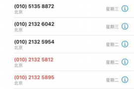 追讨债务非法拘禁立案标准:法律边界与案例分析 追讨债务非法拘禁立案标准:法律边界与案例分析